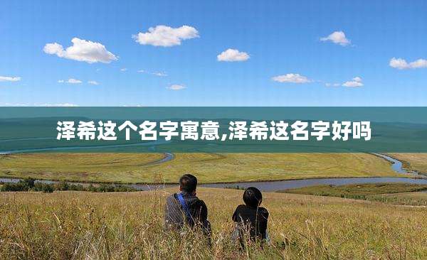 泽希这个名字寓意,泽希这名字好吗