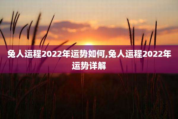 兔人运程2022年运势如何,兔人运程2022年运势详解