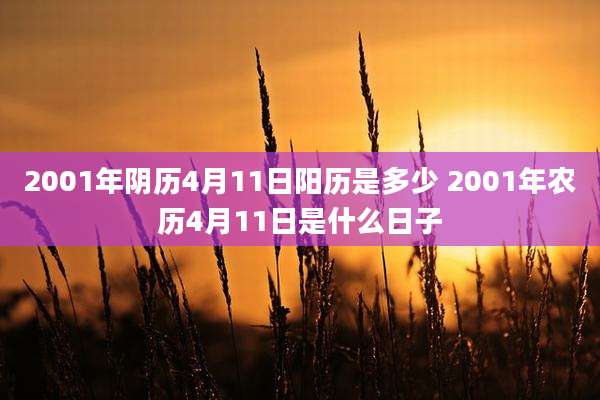 2001年阴历4月11日阳历是多少 2001年农历4月11日是什么日子