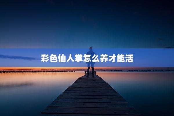 彩色仙人掌怎么养才能活