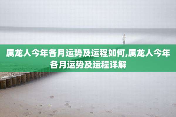 属龙人今年各月运势及运程如何,属龙人今年各月运势及运程详解