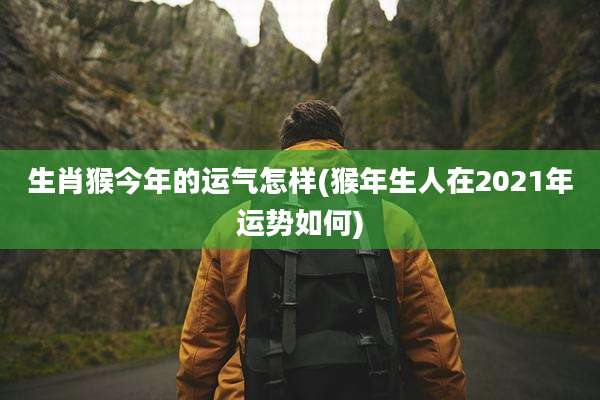 生肖猴今年的运气怎样(猴年生人在2021年运势如何)