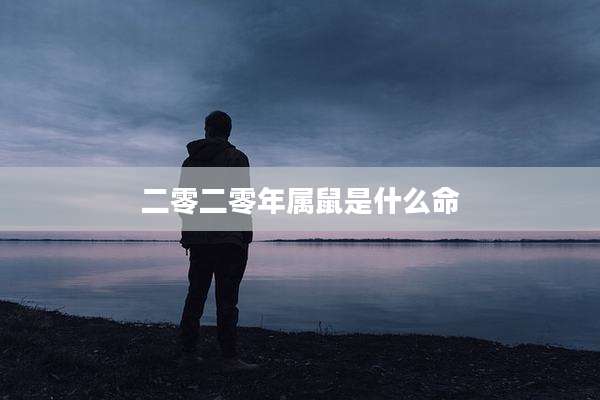 二零二零年属鼠是什么命