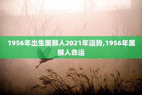1956年出生属猴人2021年运势,1956年属猴人命运