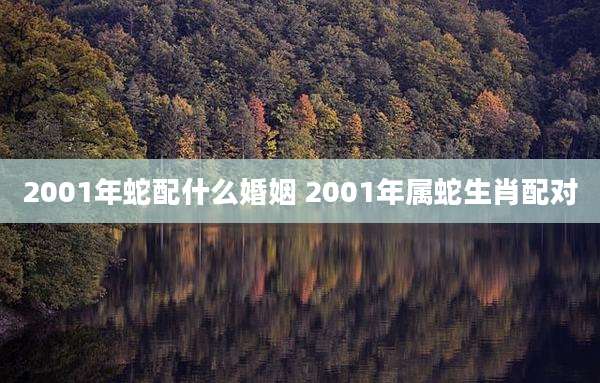2001年蛇配什么婚姻 2001年属蛇生肖配对