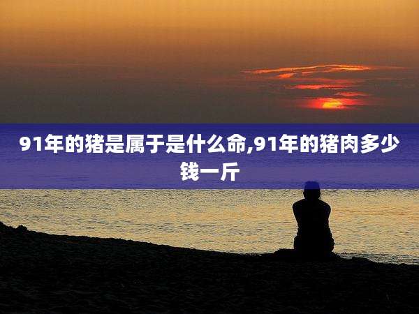 91年的猪是属于是什么命,91年的猪肉多少钱一斤
