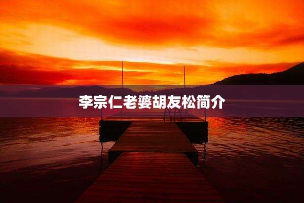 李宗仁老婆胡友松简介
