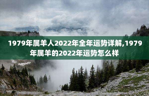 1979年属羊人2022年全年运势详解,1979年属羊的2022年运势怎么样