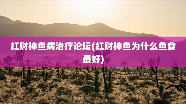 红财神鱼病治疗论坛(红财神鱼为什么鱼食最好)