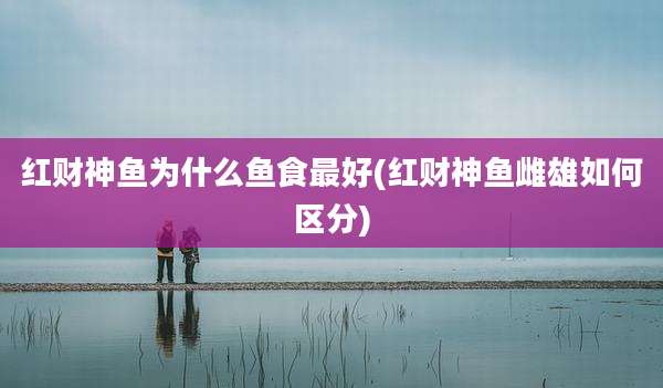 红财神鱼为什么鱼食最好(红财神鱼雌雄如何区分)