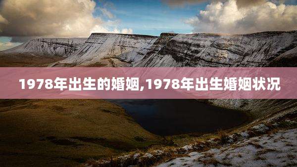 1978年出生的婚姻,1978年出生婚姻状况