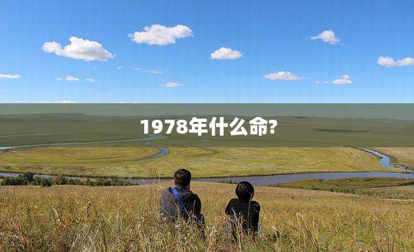 1978年什么命?