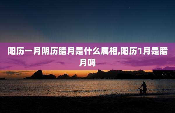 阳历一月阴历腊月是什么属相,阳历1月是腊月吗