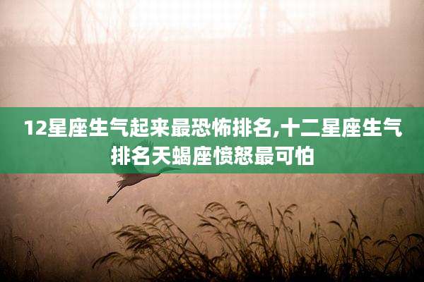 12星座生气起来最恐怖排名,十二星座生气排名天蝎座愤怒最可怕
