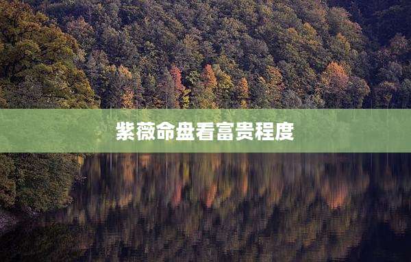 紫薇命盘看富贵程度