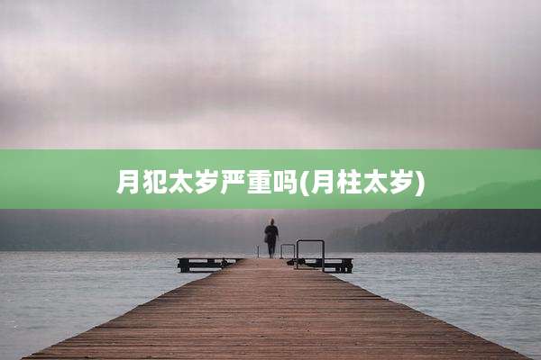 月犯太岁严重吗(月柱太岁)