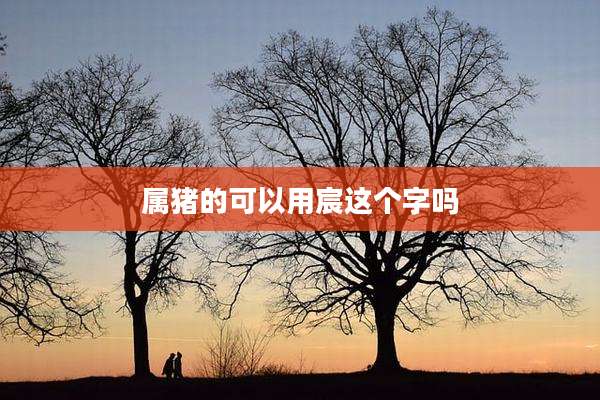 属猪的可以用宸这个字吗
