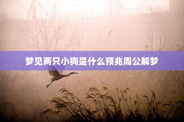 梦见两只小狗是什么预兆周公解梦