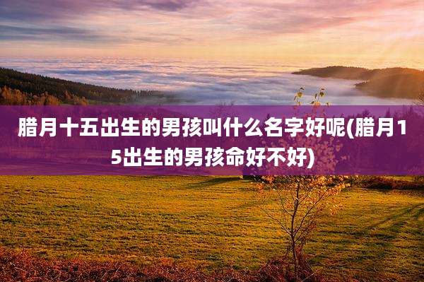 腊月十五出生的男孩叫什么名字好呢(腊月15出生的男孩命好不好)