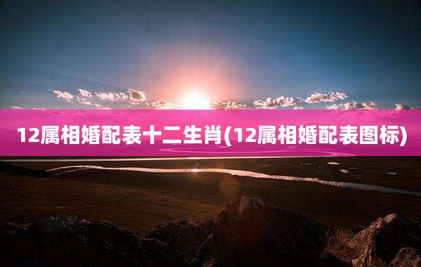 12属相婚配表十二生肖(12属相婚配表图标)