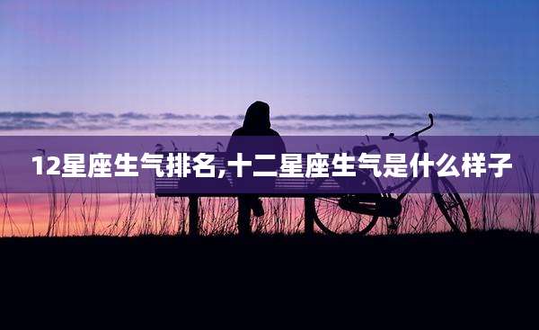12星座生气排名,十二星座生气是什么样子