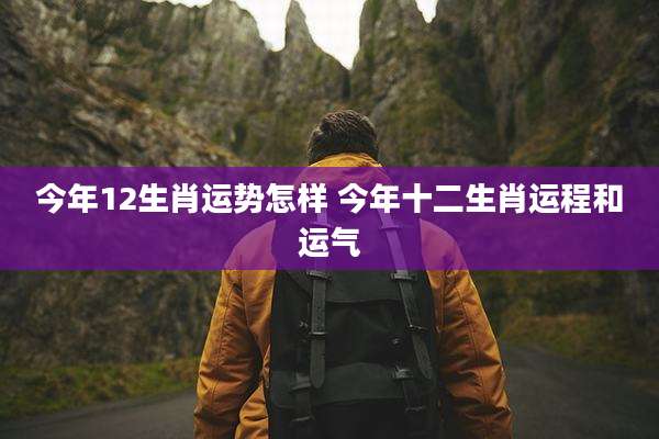 今年12生肖运势怎样 今年十二生肖运程和运气