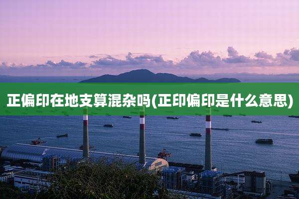 正偏印在地支算混杂吗(正印偏印是什么意思)