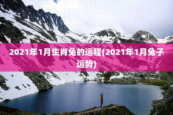 2021年1月生肖兔的运程(2021年1月兔子运势)