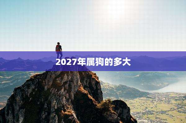 2027年属狗的多大