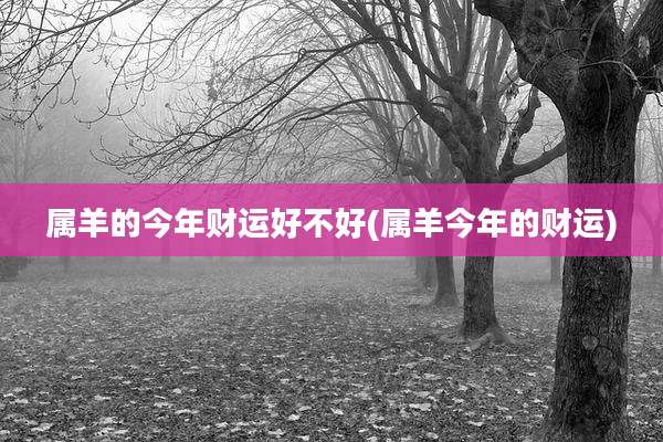 属羊的今年财运好不好(属羊今年的财运)