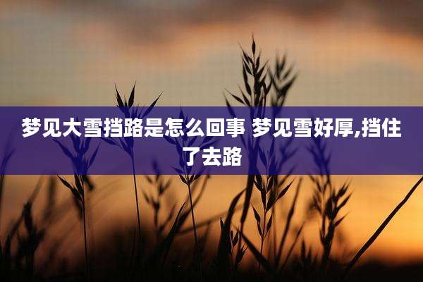 梦见大雪挡路是怎么回事 梦见雪好厚,挡住了去路