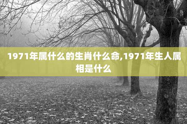 1971年属什么的生肖什么命,1971年生人属相是什么