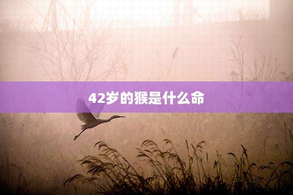 42岁的猴是什么命