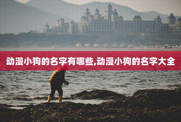 动漫小狗的名字有哪些,动漫小狗的名字大全