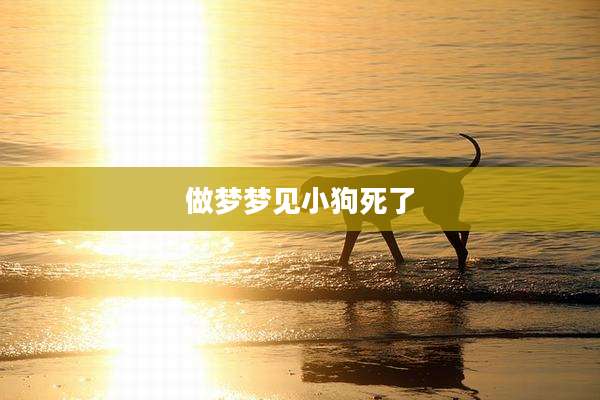 做梦梦见小狗死了