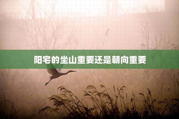 阳宅的坐山重要还是朝向重要