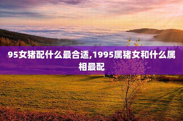 95女猪配什么最合适,1995属猪女和什么属相最配