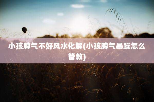 小孩脾气不好风水化解(小孩脾气暴躁怎么管教)