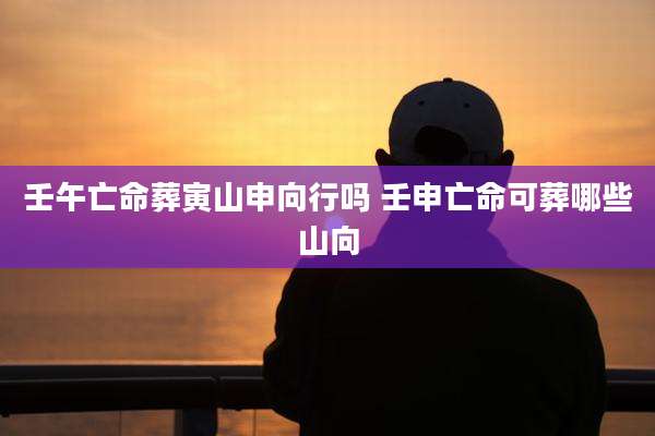 壬午亡命葬寅山申向行吗 壬申亡命可葬哪些山向