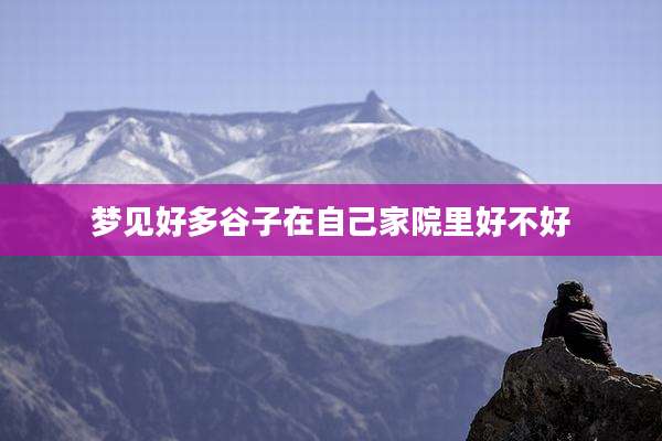 梦见好多谷子在自己家院里好不好
