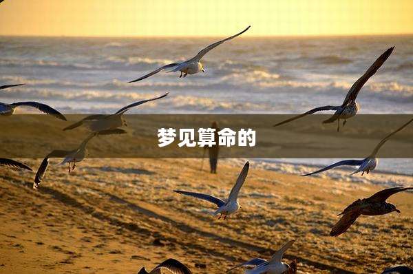 梦见算命的
