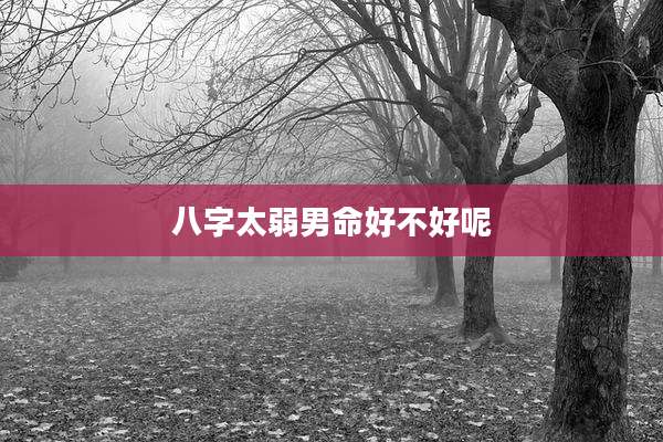 八字太弱男命好不好呢