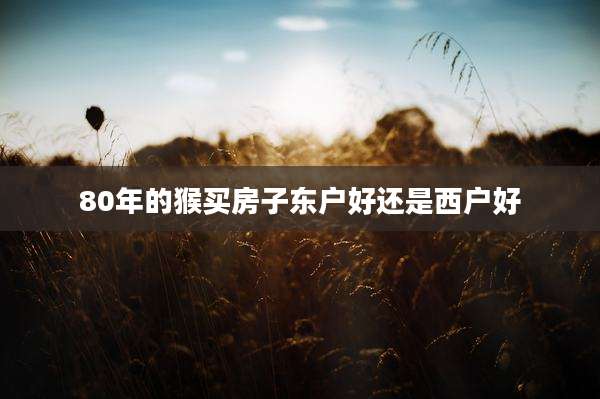 80年的猴买房子东户好还是西户好