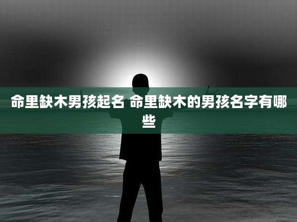 命里缺木男孩起名 命里缺木的男孩名字有哪些