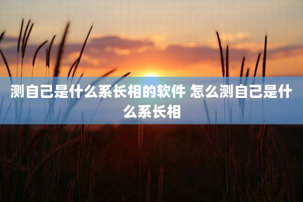 测自己是什么系长相的软件 怎么测自己是什么系长相
