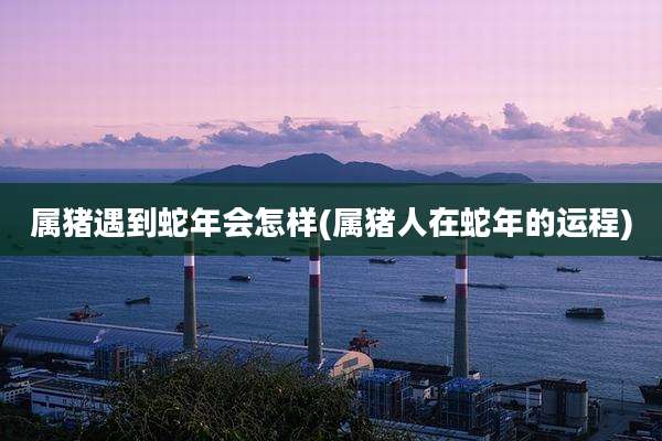 属猪遇到蛇年会怎样(属猪人在蛇年的运程)
