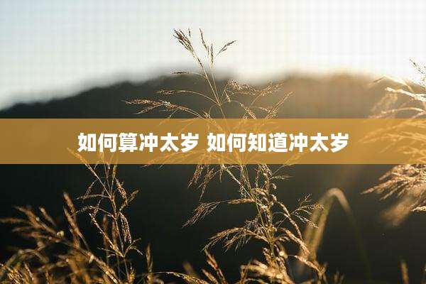 如何算冲太岁 如何知道冲太岁