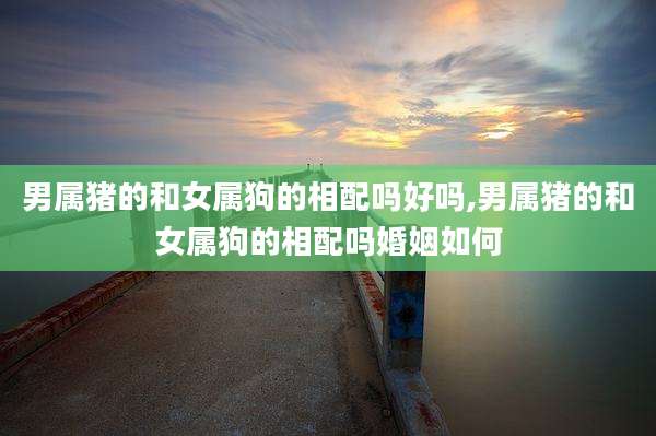男属猪的和女属狗的相配吗好吗,男属猪的和女属狗的相配吗婚姻如何