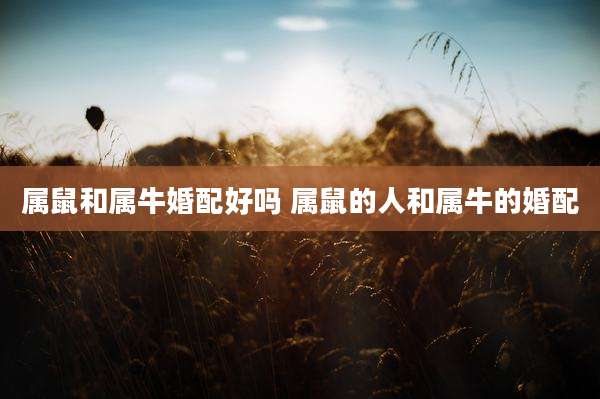属鼠和属牛婚配好吗 属鼠的人和属牛的婚配