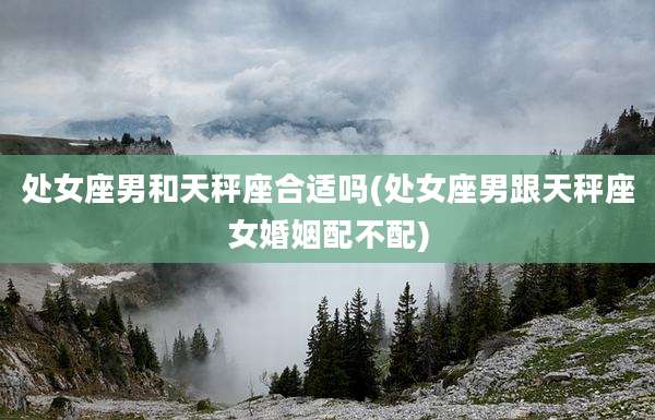 处女座男和天秤座合适吗(处女座男跟天秤座女婚姻配不配)